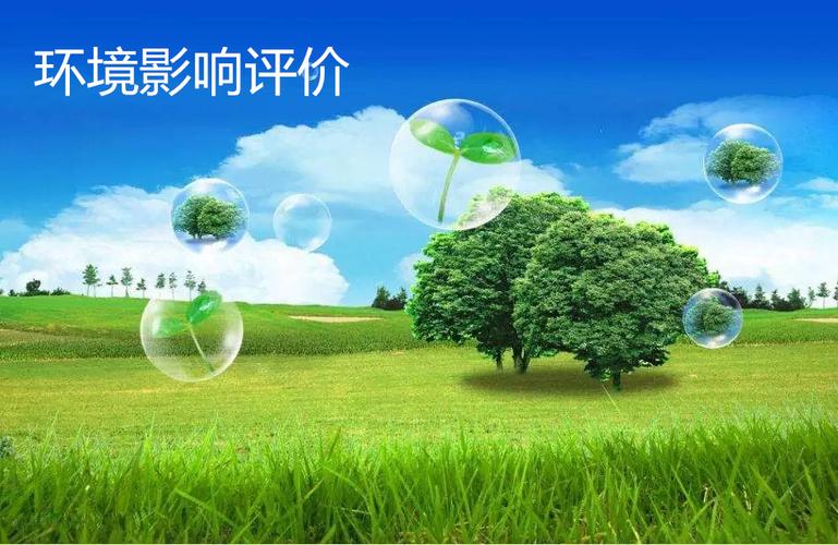 环境影响评价服务