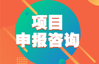 项目申报咨询服务